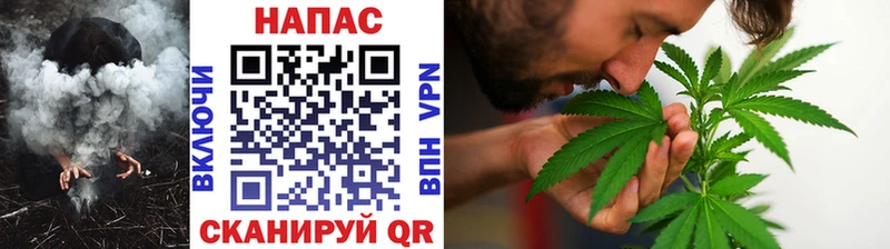 Купить закладки  Гдов  Каннабис THC 21% 